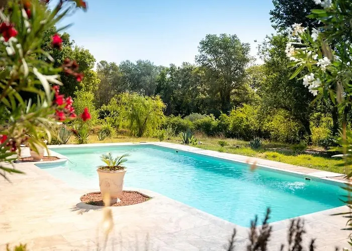 Rhea * Roquebrune-sur Argens